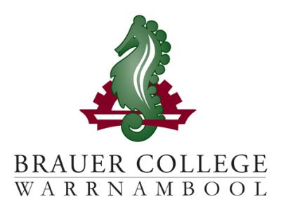 Brauer Logo